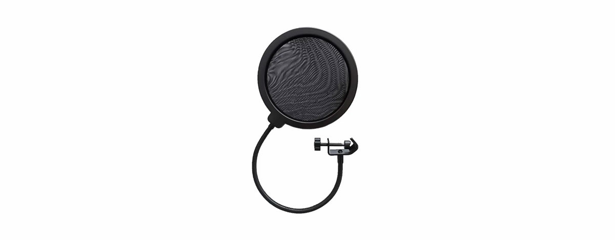 Типичный pop-filter.