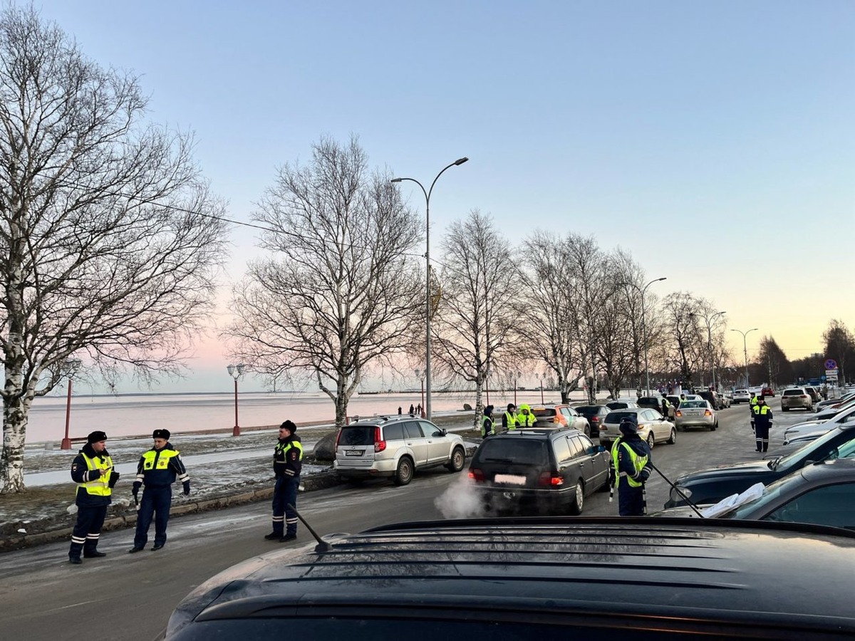    Фото: Госавтоинспекция Петрозаводска / ВК