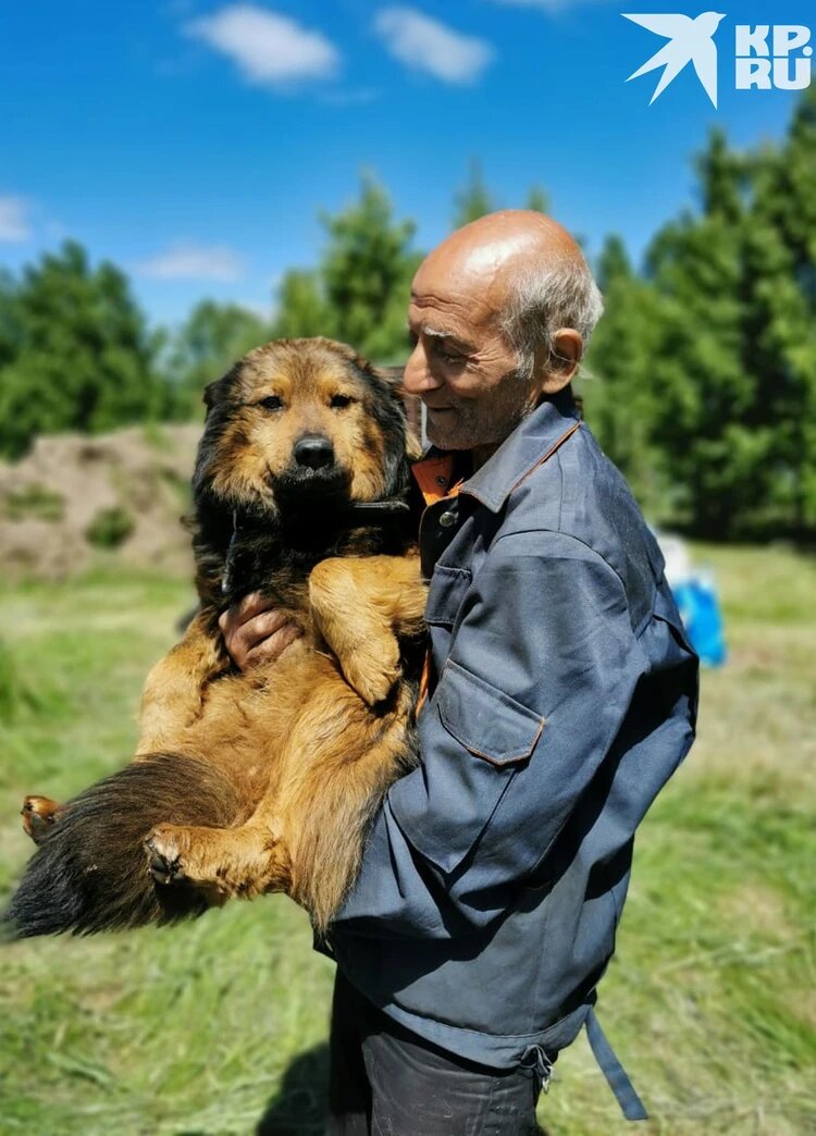 Собакам Анатолия сделали прививки. Фото: Алексей НОСОВ