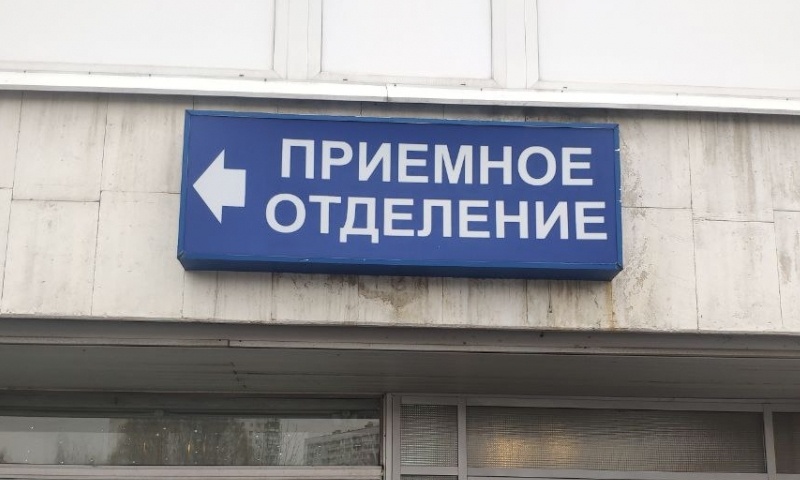    Иллюстрация: REX