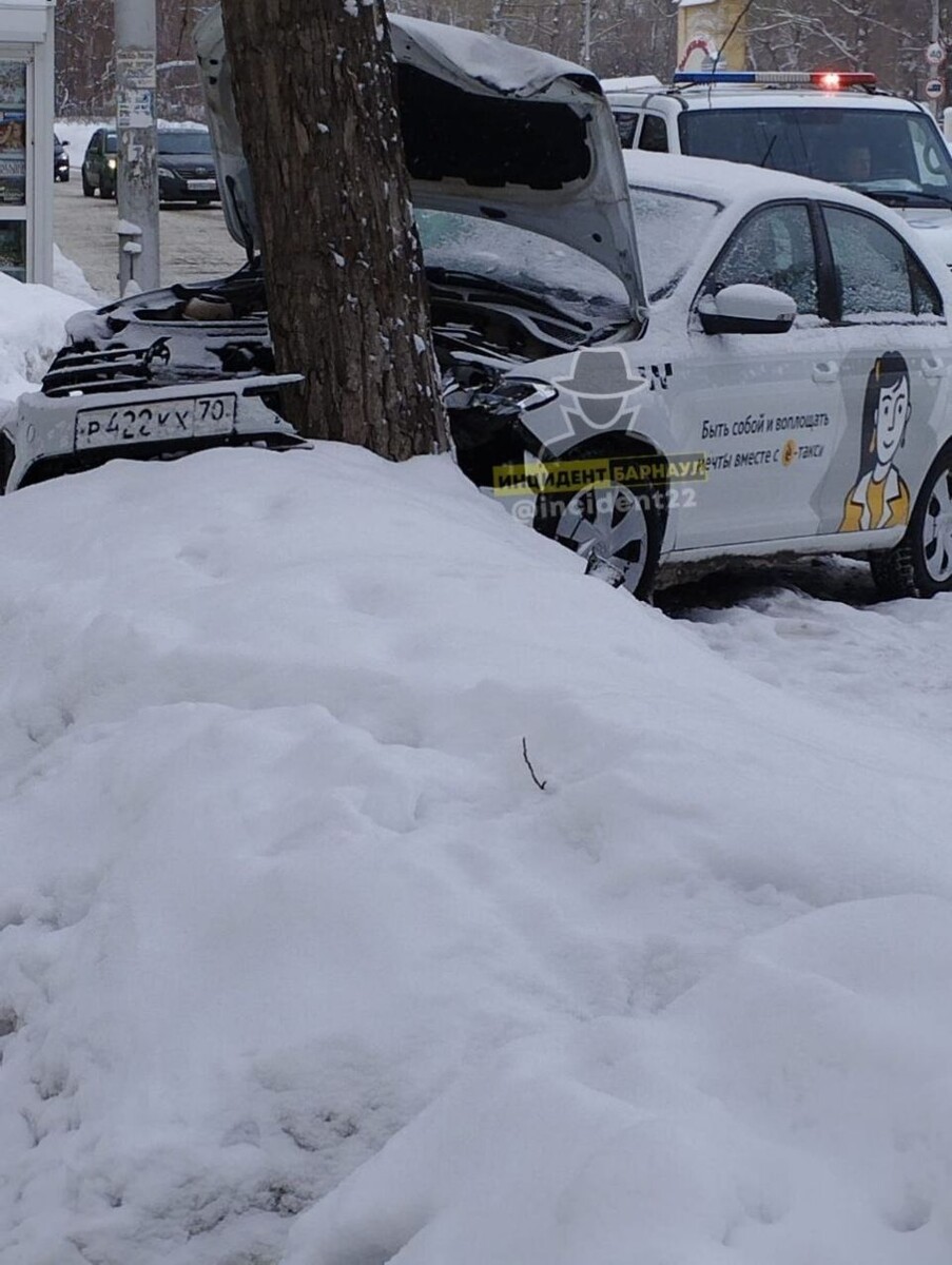    Такси въехало в дерево. Источник: t.me/incident22