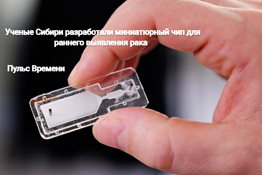 Ученые Сибири разработали миниатюрный чип 