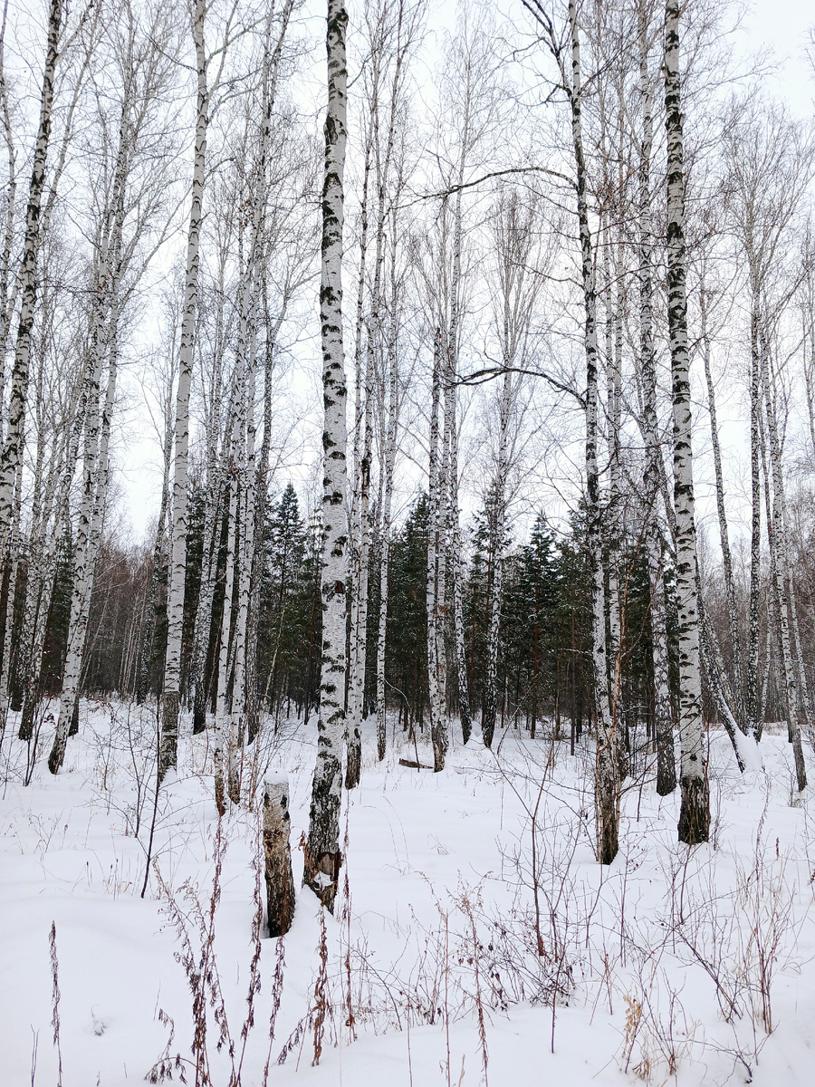 "Доброе утро, мир! Ты прекрасен!" Фото автора