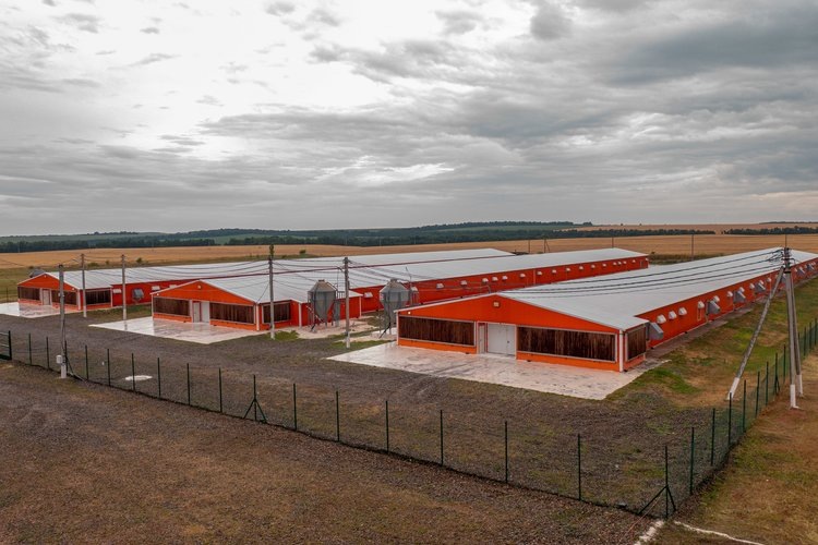    Ростовская утка славится в России и за рубежом