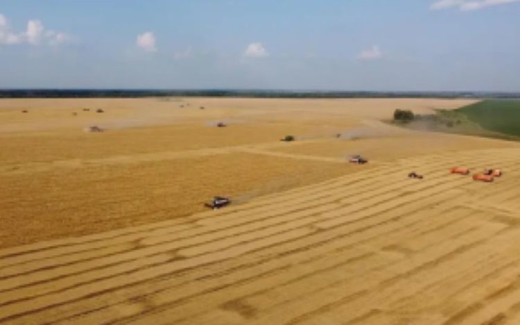    Липецкая область смогла сохранить максимум пашни с 1990 года