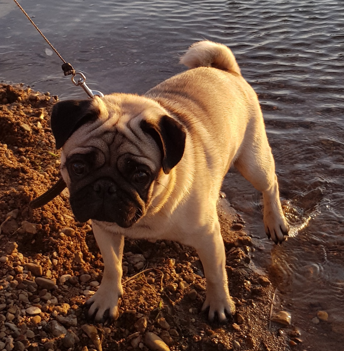 Фото из личного архива