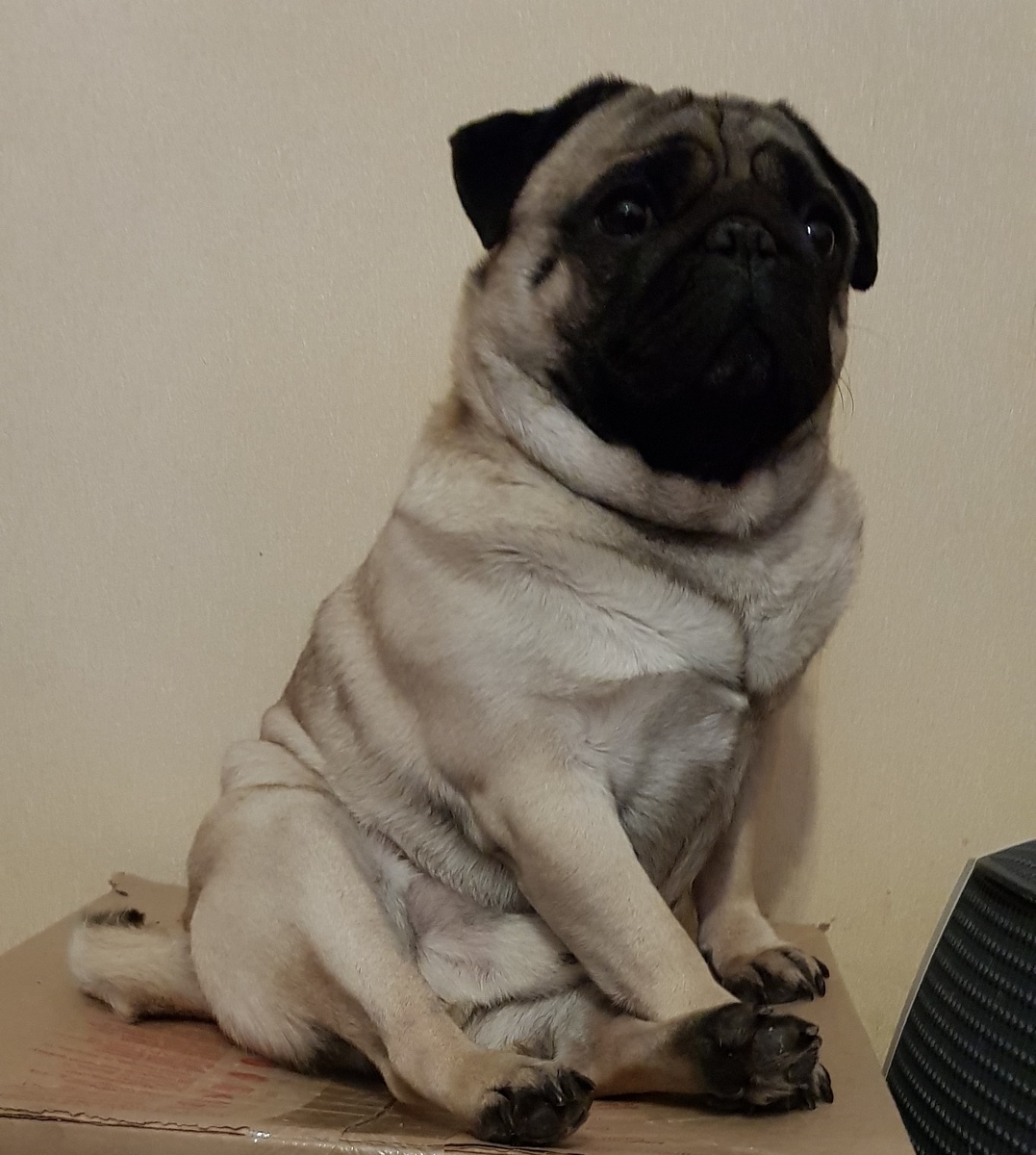 Фото из личного архива