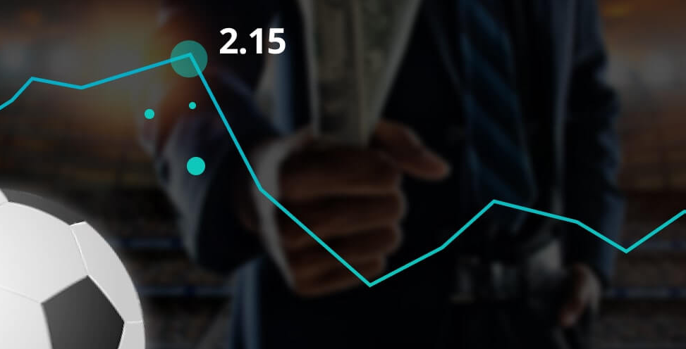 Wikibet - лучшие букмекерские конторы России 2025