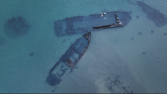     Фото: Росморречфлот