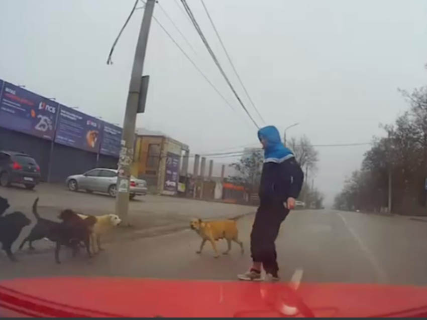 Кадр: ТГ-канал Mash на Донбассе