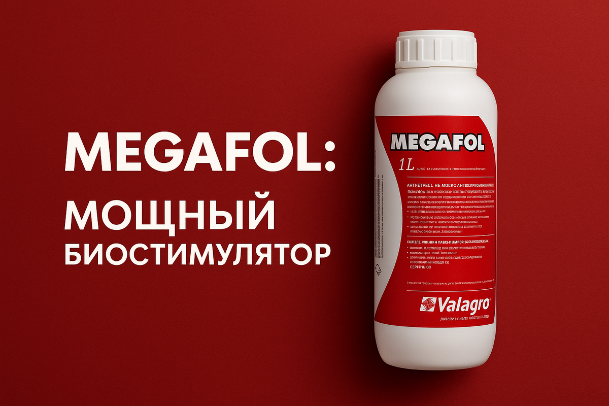 Журнал садовода. dzen.ru/sadovodjournal