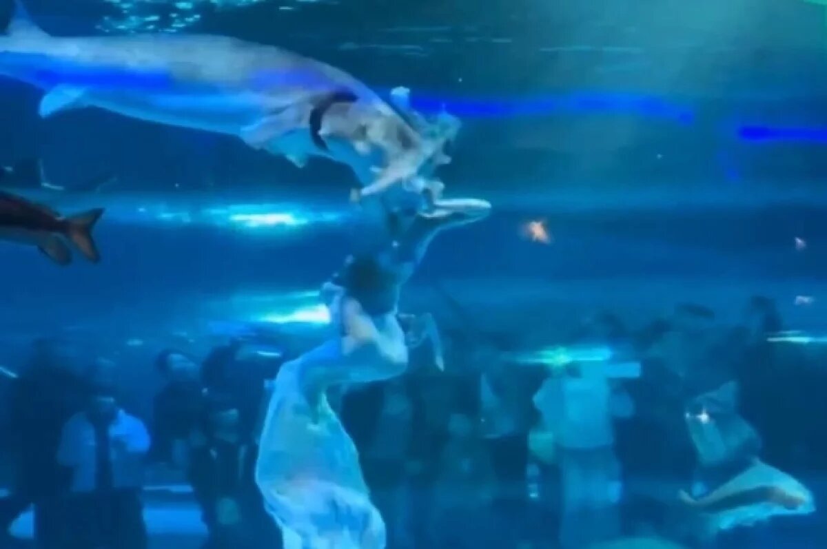    В Китае огромный осётр атаковал девушку-аниматора из Сарапула