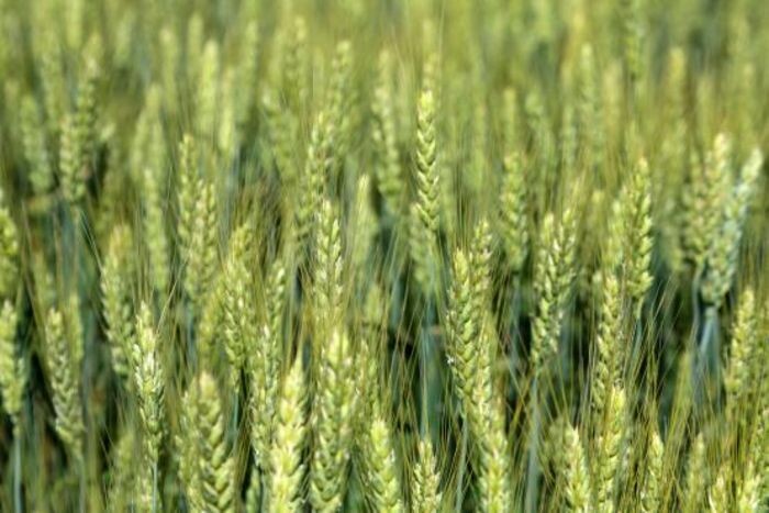 Источник фото: пресс-служба ДГТУ