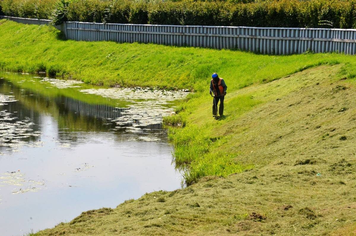    Фото: Анна Быкова