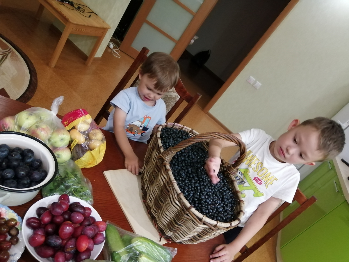 Однажды я сделала варенье из черники, купленной на рынке. До чего нежное получилось варенье. Мы его всю зиму с блинами ели. С тех пор я прошу мужа, чтобы его знакомые собирали нам её в одном очень чистом экологичном месте. Не бесплатно, конечно, труд должен вознаграждаться!!! И, в отличие от ягод с рынка, я точно знаю, что черника выросла не у дороги. Спасибо эти милым трудолюбивым людям. Благодаря им каждый год мы успеваем и полакомиться этой прекрасной ягодой и варенье на зиму приготовить.