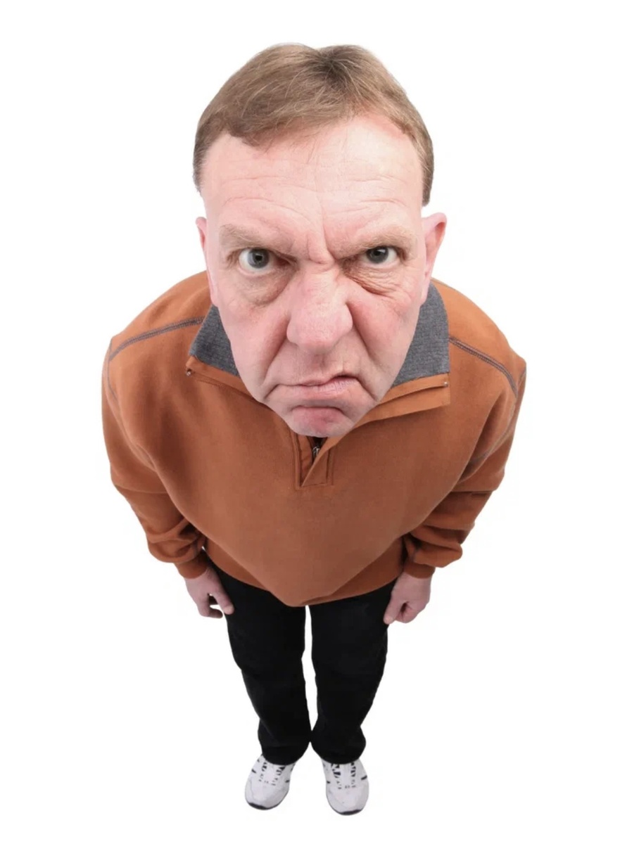 Фото взято с открытого источника Яндекс коллекции