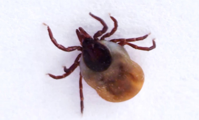 Фото Роспотребнадзора РФ