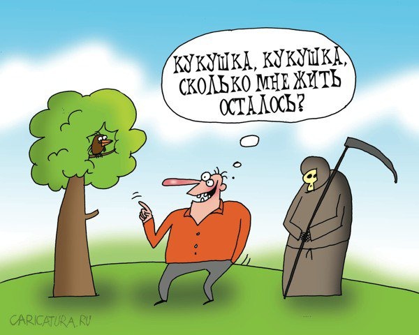 Нафига грузить птицу такими вопросами? Не у кого больше спросить что ли?