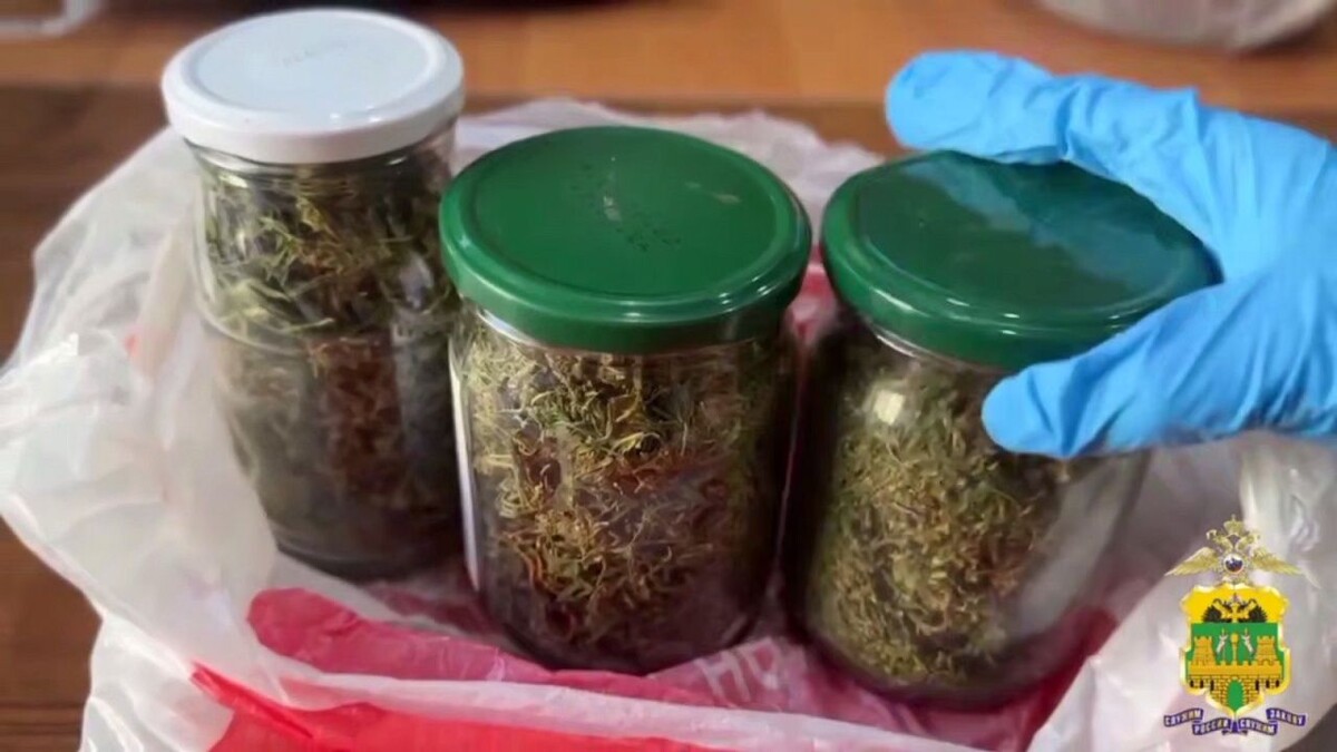    Фото: пресс-служба ГУ МВД России по Краснодарскому краю