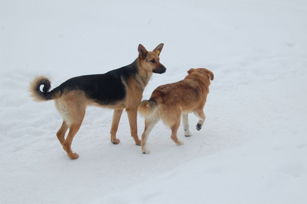 Фото: ИА "Регион 71"