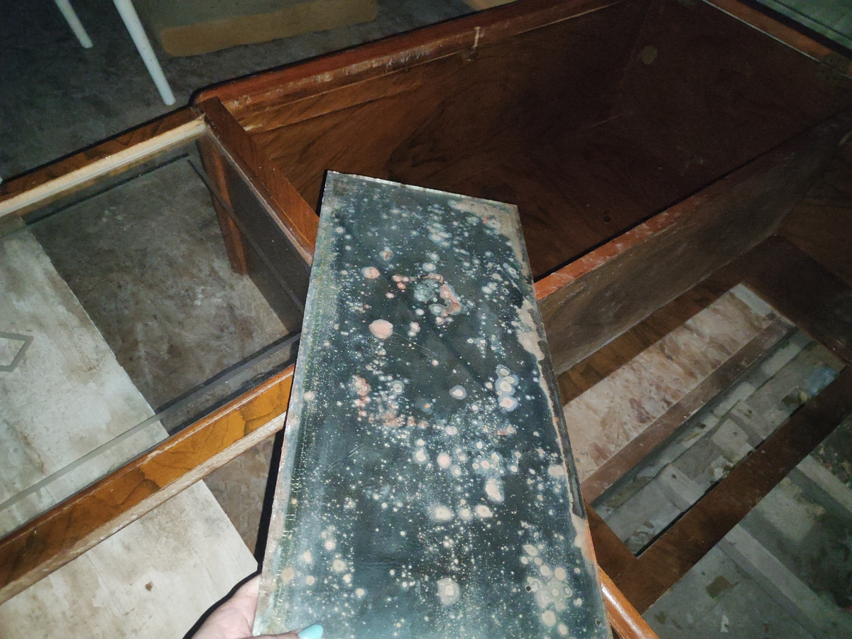 процесс очень вяло, но сдвинулся с места. Надо заказать такое зеркало