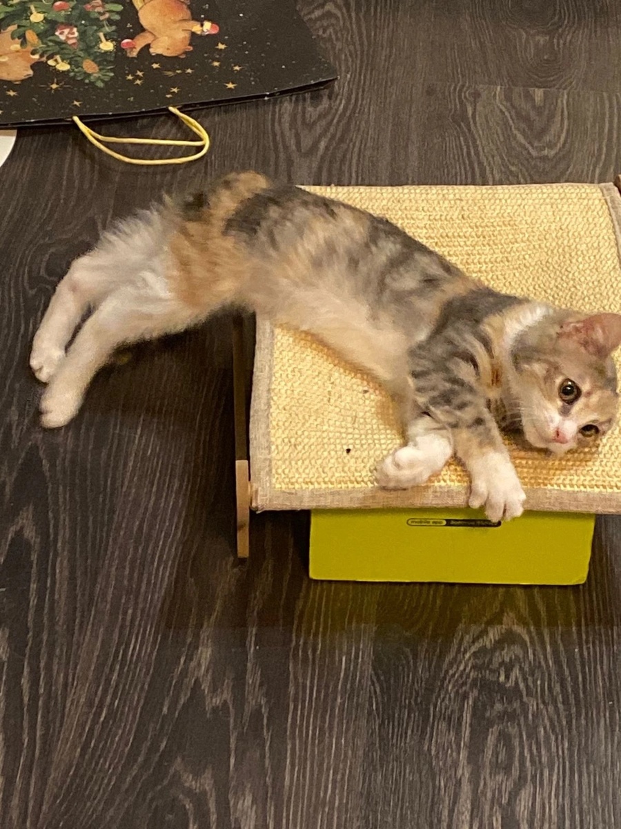 Дом, дом, дом, мой милый дом!