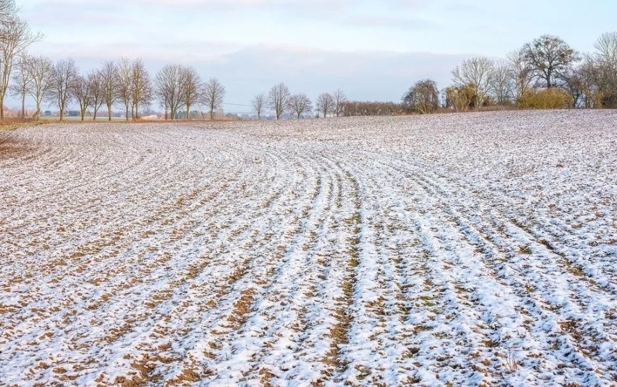 Фото: Своё Медиа