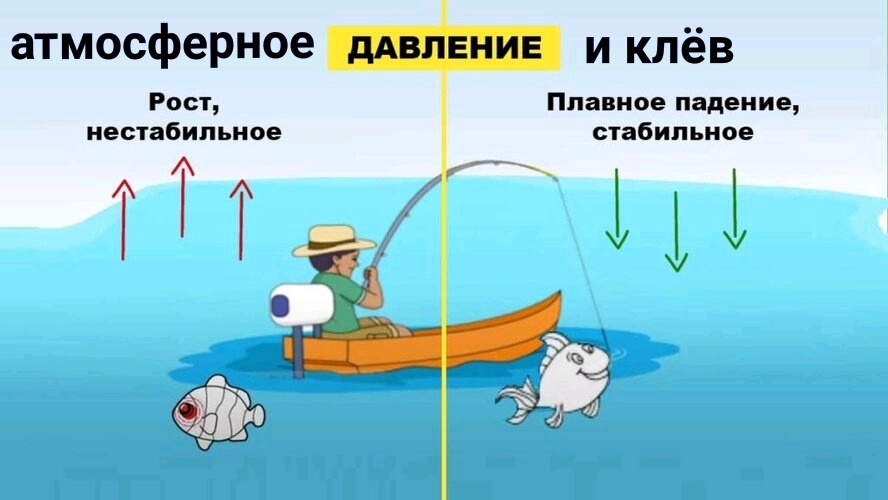 Клев рыбы и давление