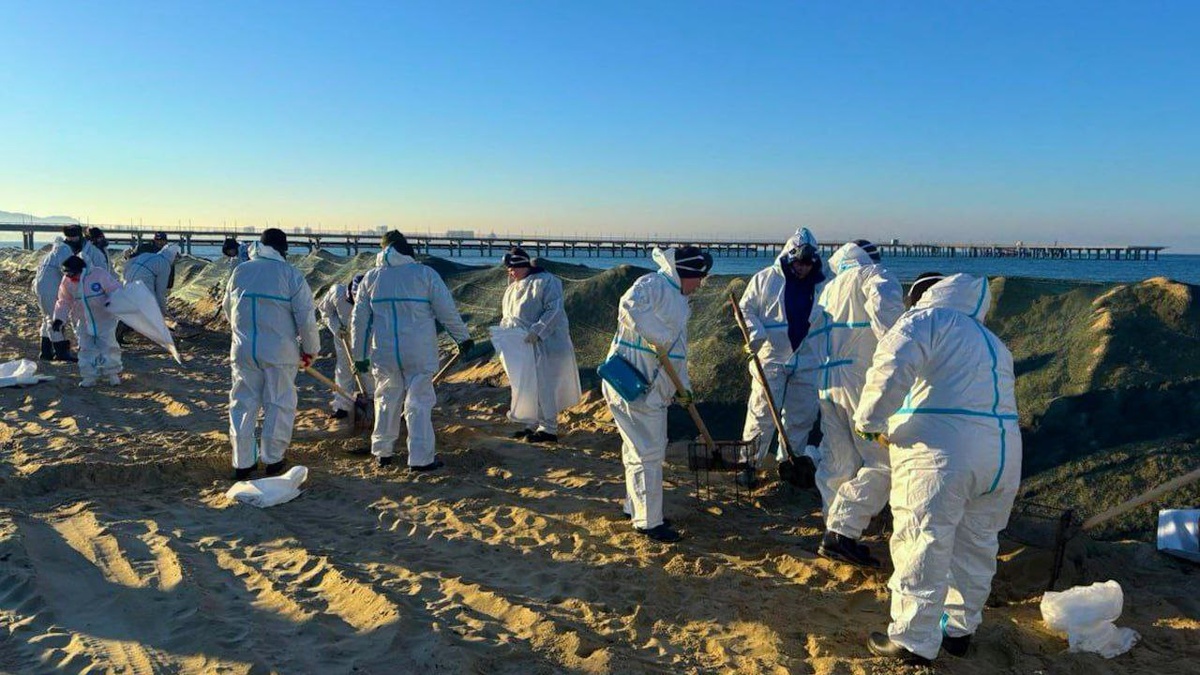    Фото: пресс-служба Оперштаба Краснодарского края