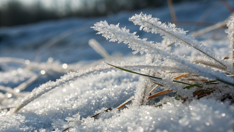 Источник: Freepik