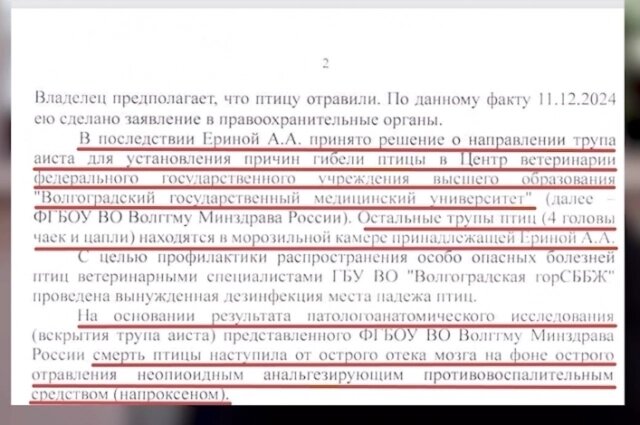    Фото: предоставлено читателями vlg.aif.ru