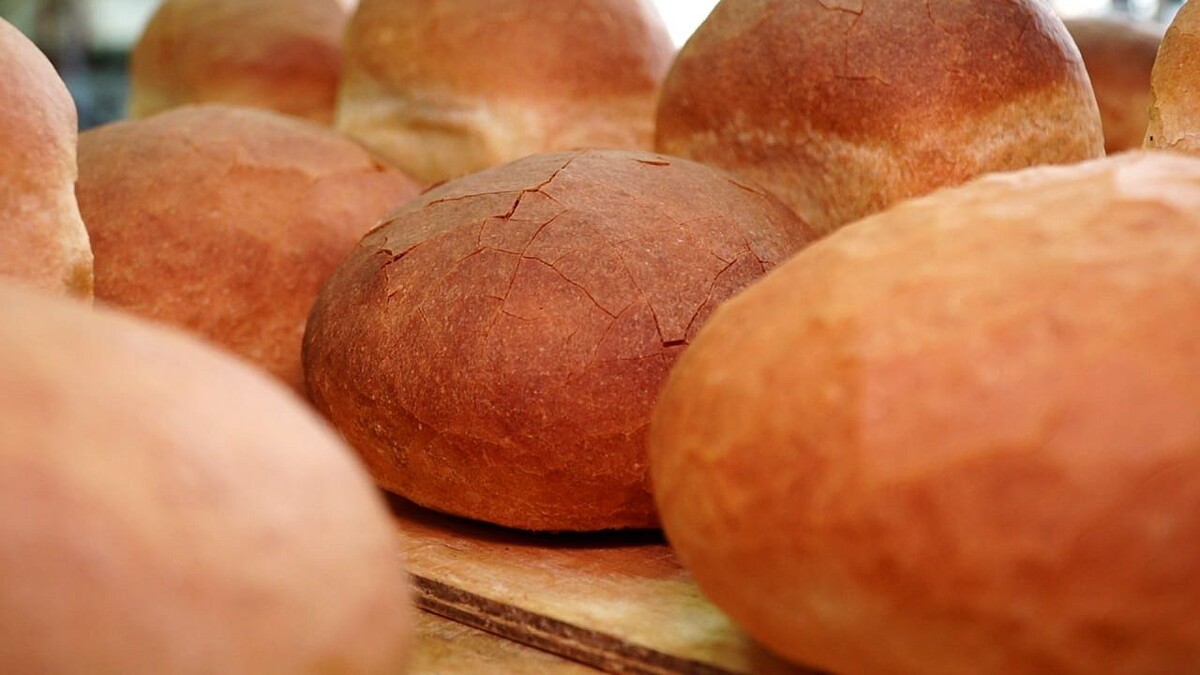    Фото: телеканал «Краснодар»