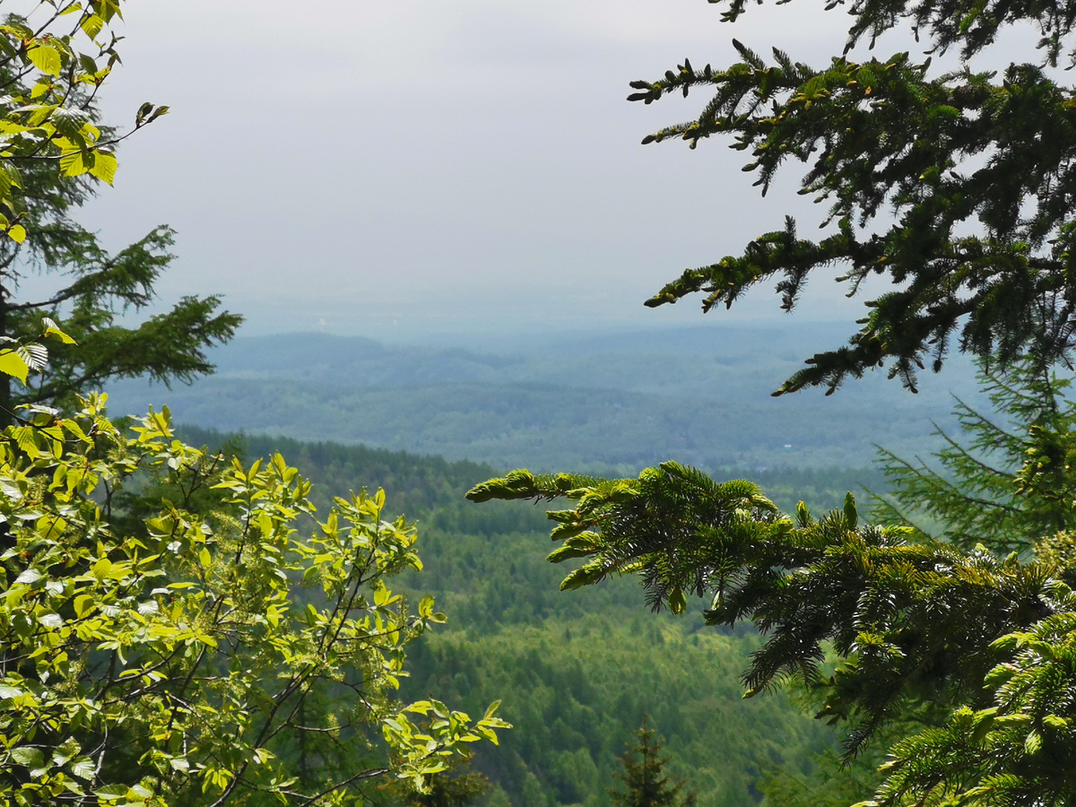 Вон там вдали Южно-Сахалинск.