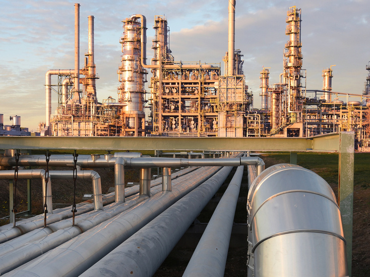 Фото: Waltraud Grubitzsch/dpa/Global Look Press