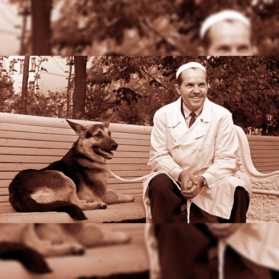 Источник фото: https://histrf.ru/read/biographies/vladimir-petrovich-demihov-2