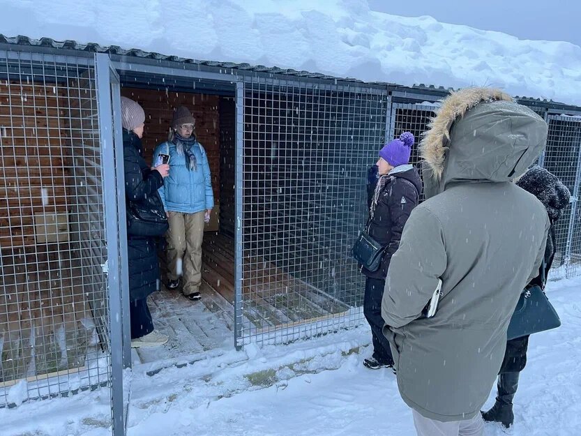    Фото: Управление по экологии и природопользованию Ульяна Бажанова