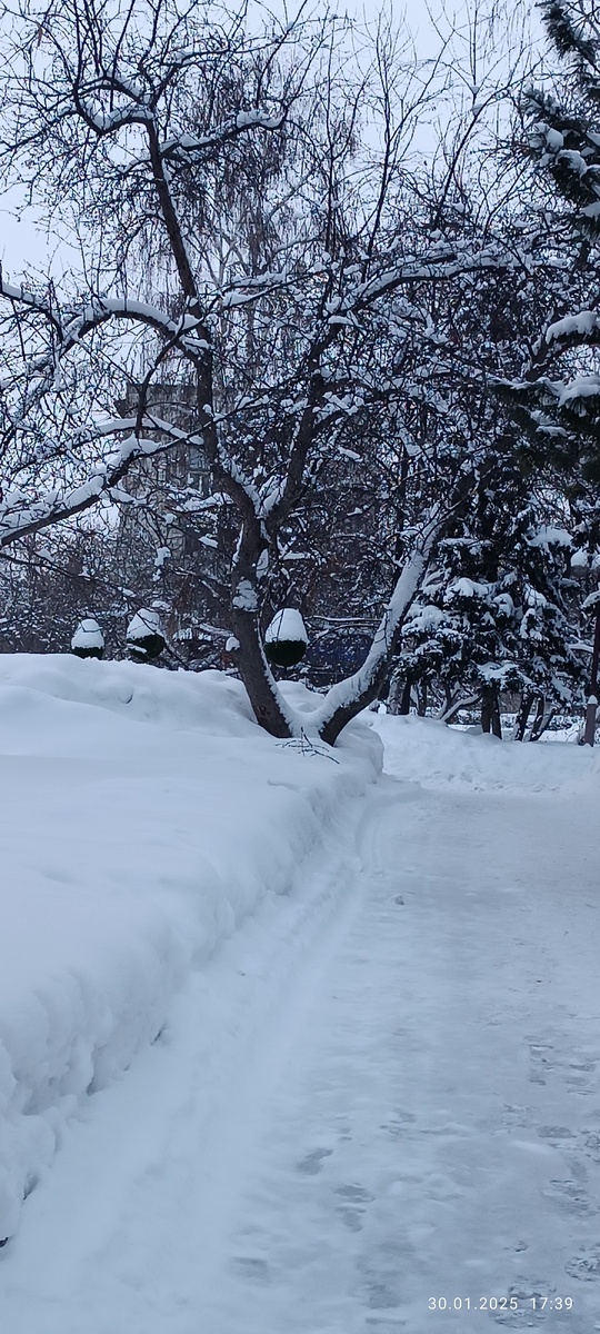 Где-то на просторах моего города. Фотография автора, январь 2025 года. 