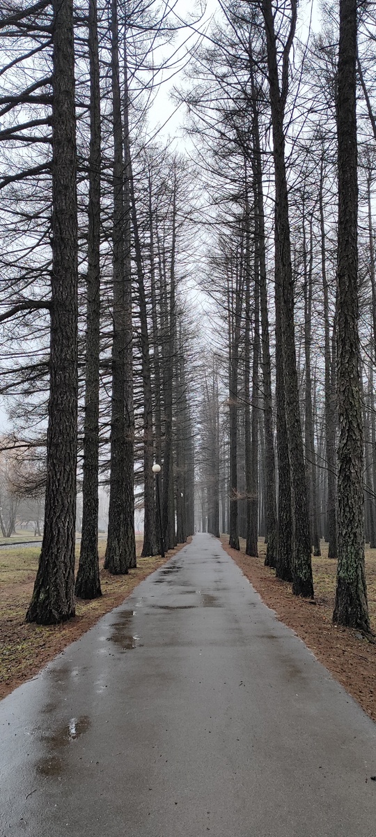 Фото: Краса Елена