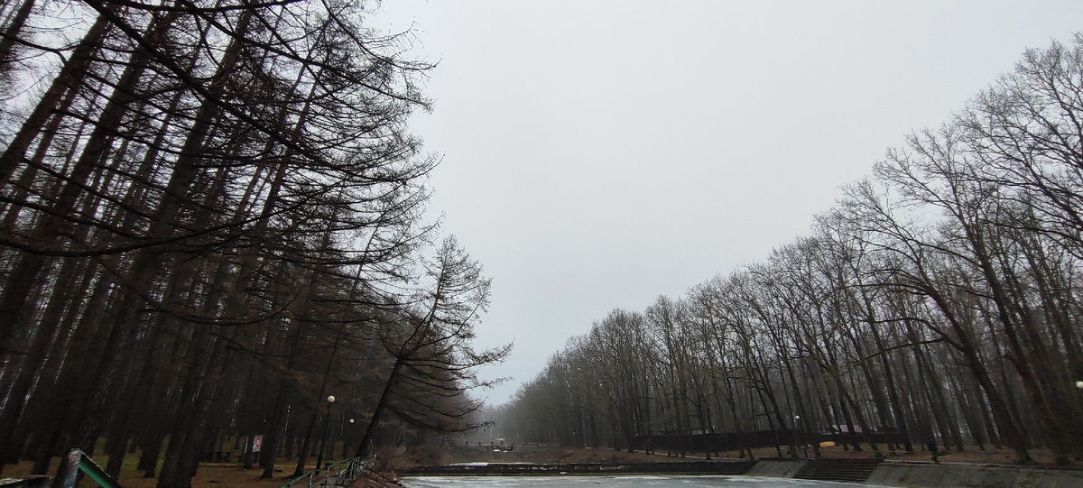 Фото: Краса Елена