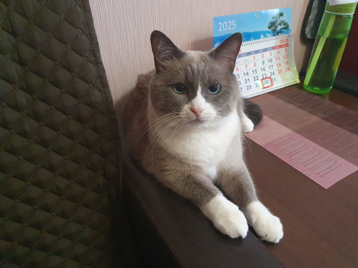 Утренний Мотя.