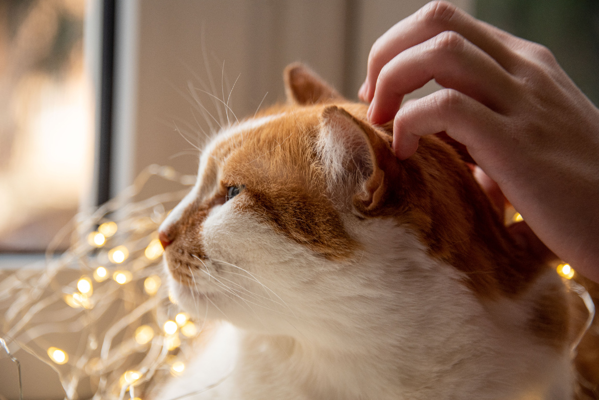 Сохраняйте мои фотографии в свои телефоны!