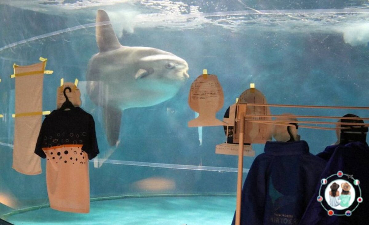 Из просторов инета