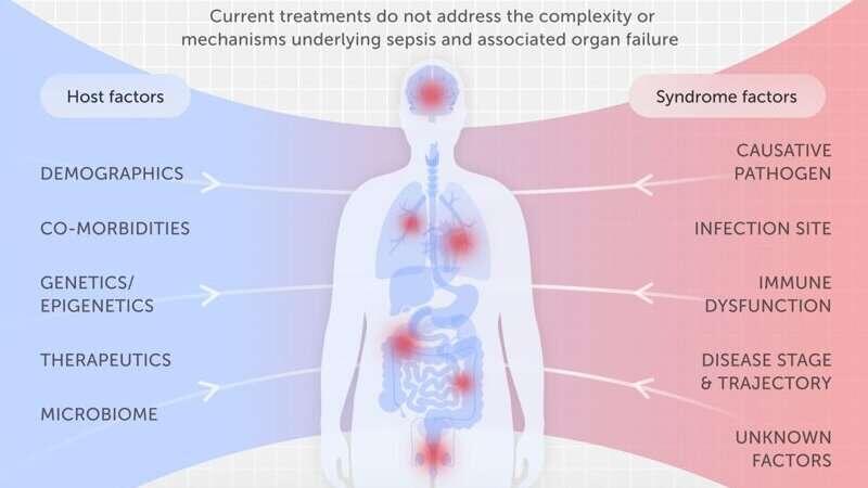 Сепсис является причиной примерно 20% смертей и, вероятно, стал причиной почти всех смертей от пандемий.