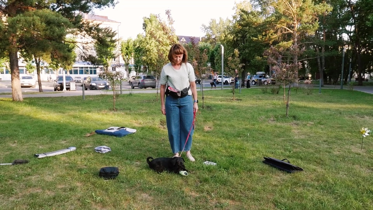 Ноузворк - увлекательный кинологический спорт
