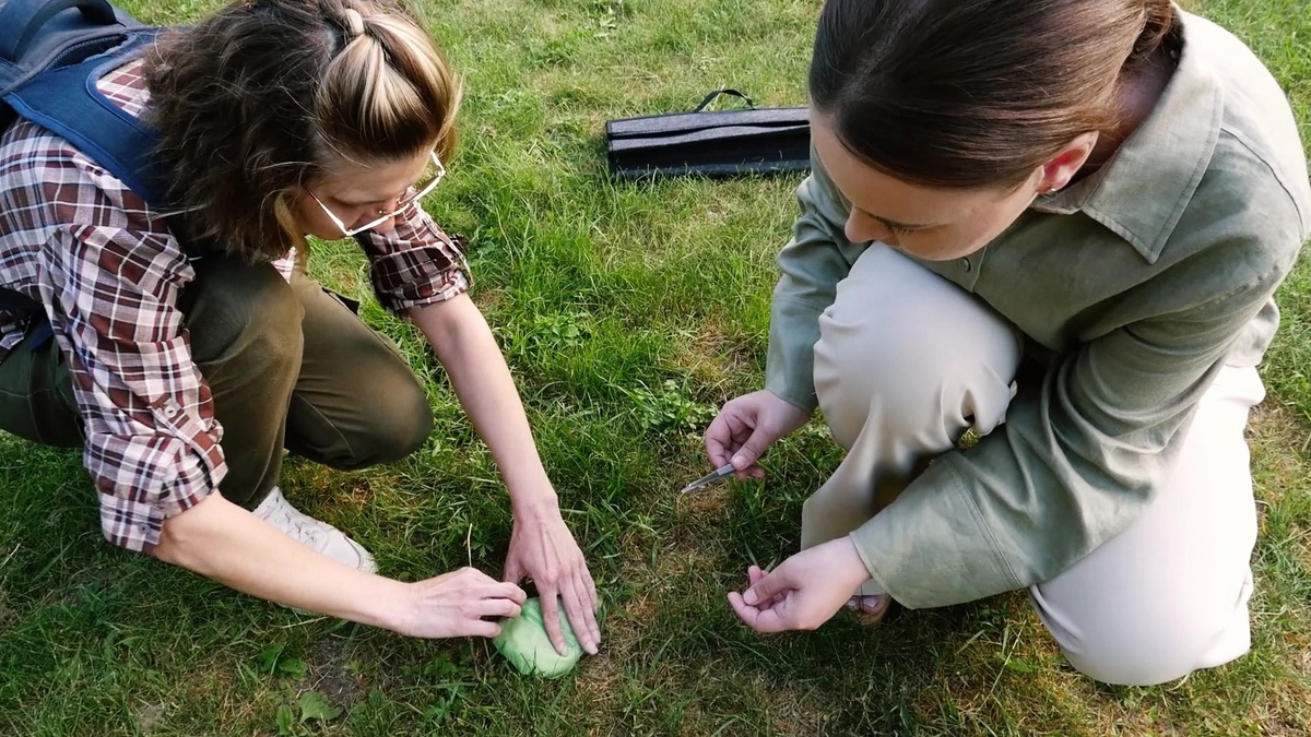 На тренировке собака работает в ринге. Для сложности инструктор раскладывает на площадке разные предметы: игрушки, коробки и т. д. 