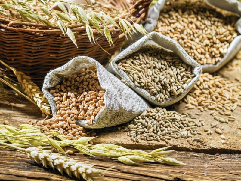 Фото сайта Минсельхоза России