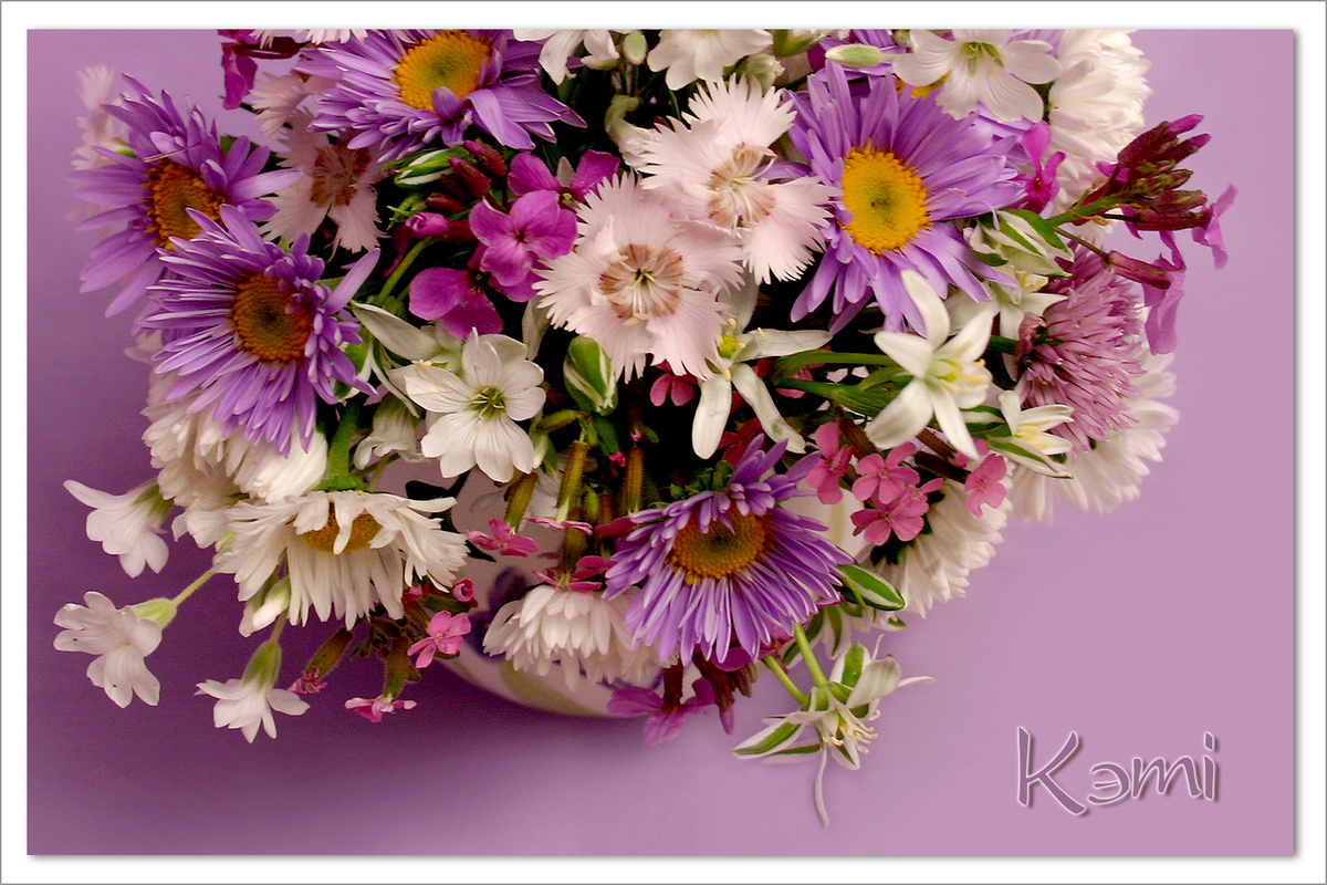 Букет с гвоздиками, маргаритками, астрой альпийской и птицемлечником.