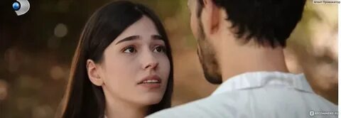 Фото из интернета.