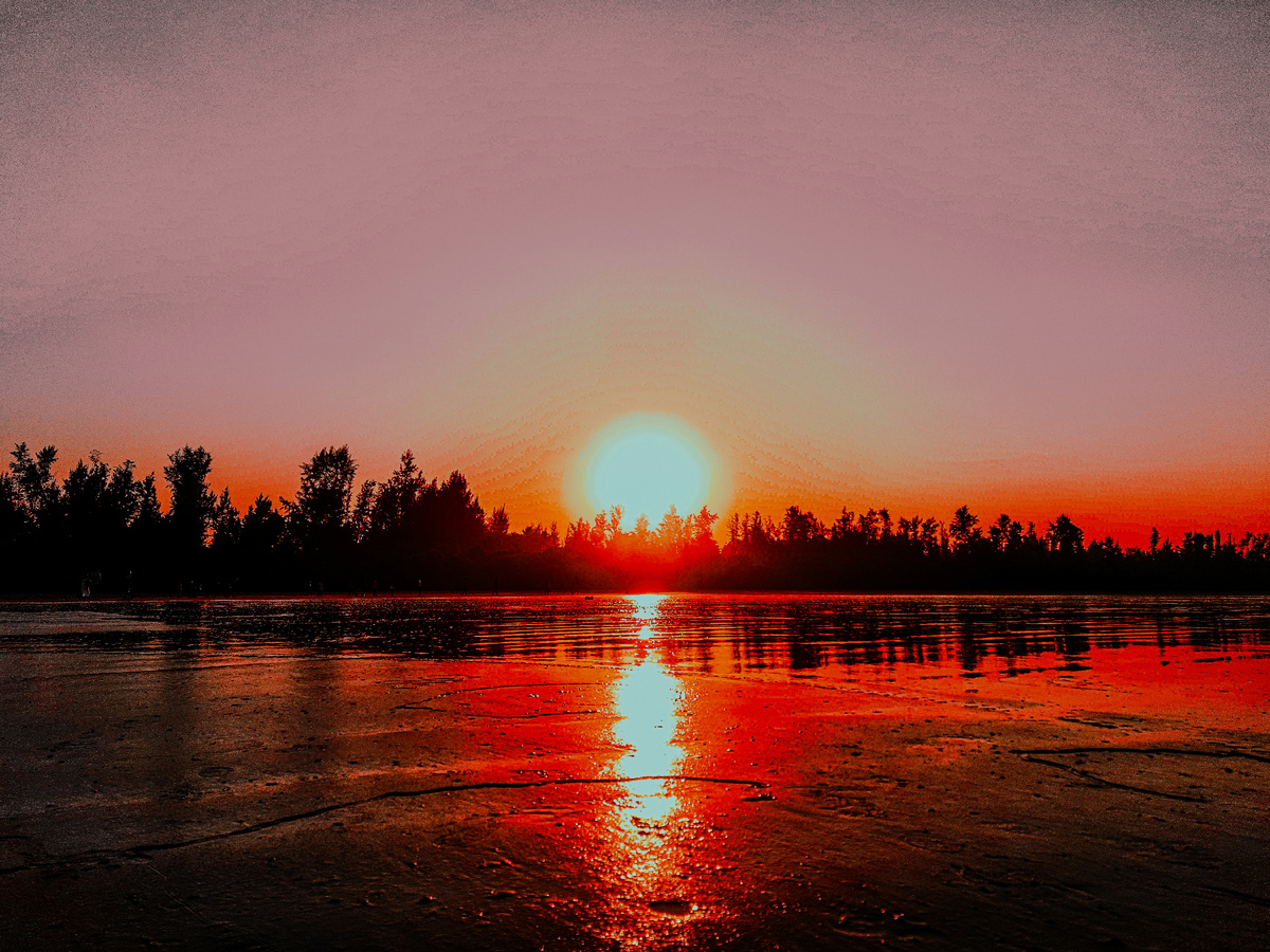 Картинка с бесплатного фотостока https://unsplash.com, автор OMKAR ABHALE