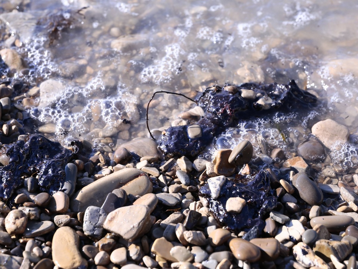 Жуткие пляжи Анапы после разлива мазута